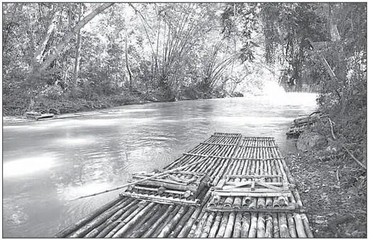 Бамбуковый плот Разновидностью плота стала папирусная тростниковая лодка - фото 1