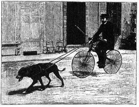 Собачья упряжка для велосипедиста Франция 1893 г Эквибус 1878 г Судно - фото 47