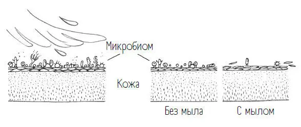 Мыло то есть ПАВы люди открыли для себя тысячи лет назад Эти магические - фото 17