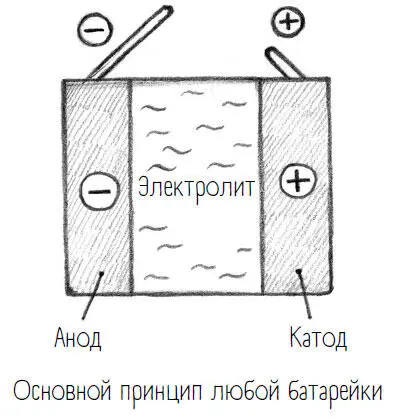 Важнейшие компоненты батарейки электроды один на положительном полюсе - фото 32