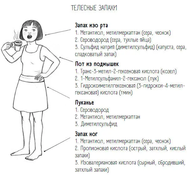 Прежде чем вы подумаете Надо же как любопытно и беспечно продолжите читать - фото 52