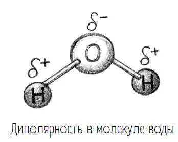 Отрицательные и положительные заряды как мы знаем взаимно притягиваются и - фото 59