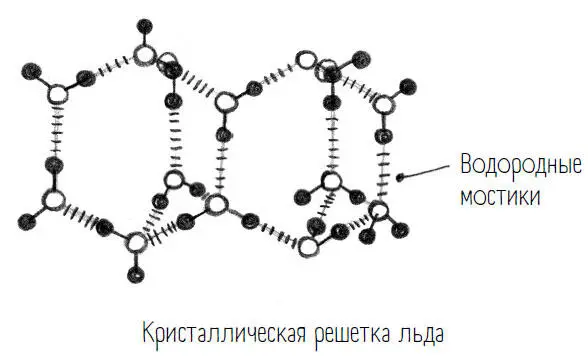 И что же с этого рыбам в озере Когда зимой вода охлаждается она опускается на - фото 60