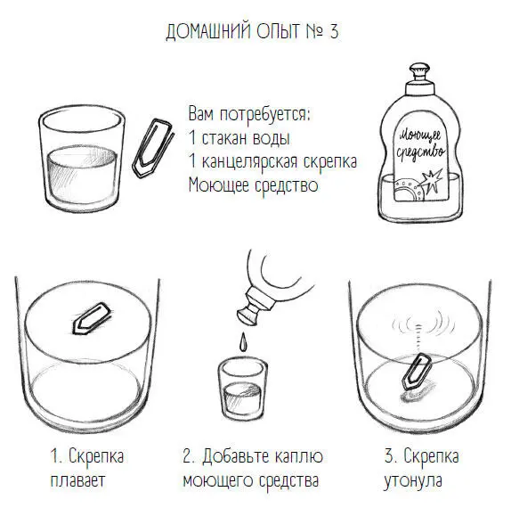 Это явление можно наблюдать на простом опыте с обычной канцелярской скрепкой - фото 62