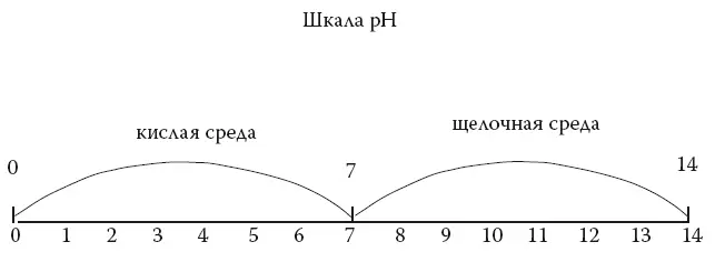 Для того чтобы растворить кислый уратный камень надо превратить мочу из - фото 12