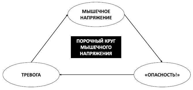Рис 39 Порочный круг мышечного напряжения Расслабление через напряжение - фото 54