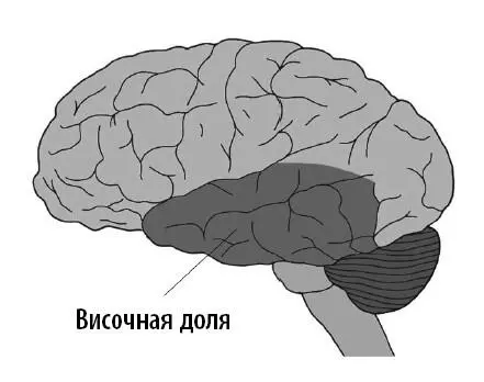 Наконец ученые усадили СМ смотреть фильмы ужасов Звонок Ведьму из - фото 2
