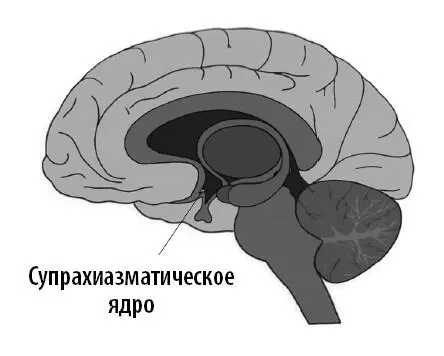 Этим открытием впоследствии удалось объяснить нарушение расписания у других - фото 18