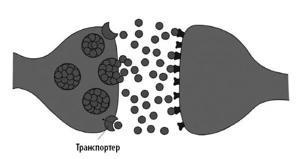 Если остановить обратный захват уровень нейромедиатора в синаптической щели - фото 27