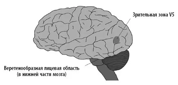 Считается что существует еще одна зона которая выполняет весьма необычную - фото 40