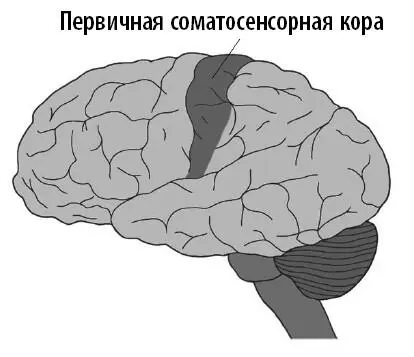 Важность эмоционального отклика на боль особенно отчетливо проявляется у людей - фото 44