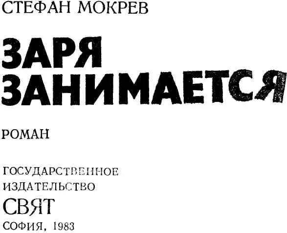 РОМАН ЗАРЯ ЗАНИМАЕТСЯ И ЕГО АВТОР Роман Заря занимается охватывает бурное - фото 2