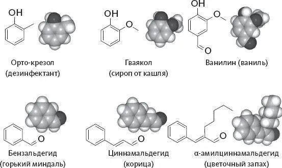 Рисунок 7Из едкого фенола можно получить пахнущие дезинфектантами ортокрезол - фото 7
