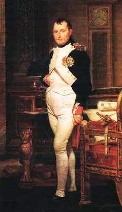Наполеон I БонапартNapoleon Bonaparte 17691821 Анализ свидетельств - фото 16