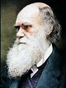 Чарлз Роберт Дарвин18091882 Птеродактиль не курица но гриппа боится По - фото 10