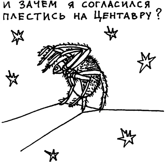 В Древнем Китае любили слушать пение цикад Некоторые ценители столь - фото 10