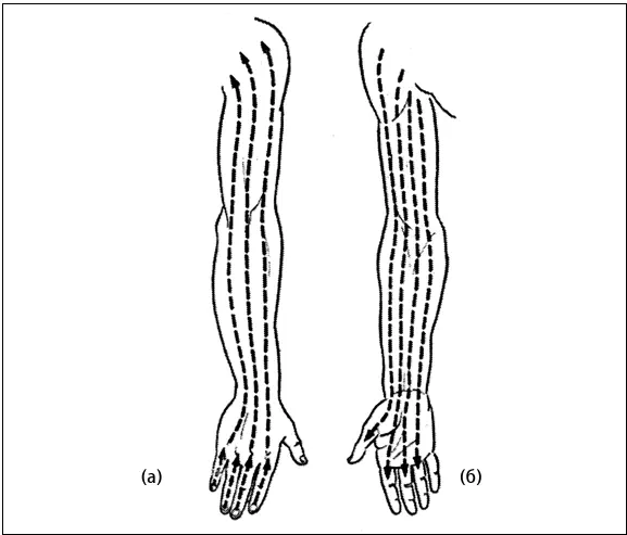 Рис 9 Направление щеточного массажа на руке а тыльная задняя - фото 15