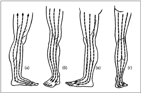 Рис 10 Направление щеточного массажа на ноге а внутренняя поверхность б - фото 16