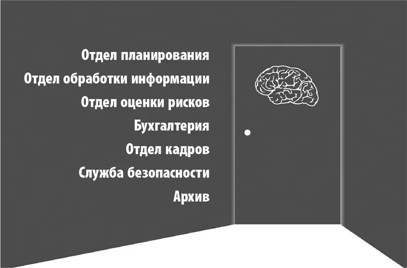 Рис 11Команда в закрытой комнате Изучение мозга помогает нам понять и - фото 2