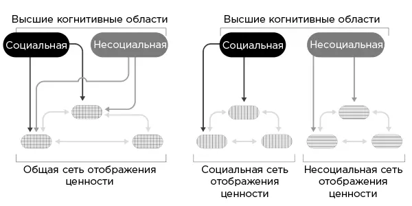 Илл 41Две конкурирующие гипотезы объясняющие как мозг определяет - фото 13