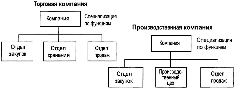 Рис 58 Функциональные оргструктуры Этот базовый вариант имеет следующие - фото 157