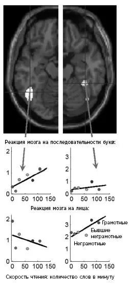 Согласно гипотезе нейронного рециклинга научение чтению конкурирует с - фото 10