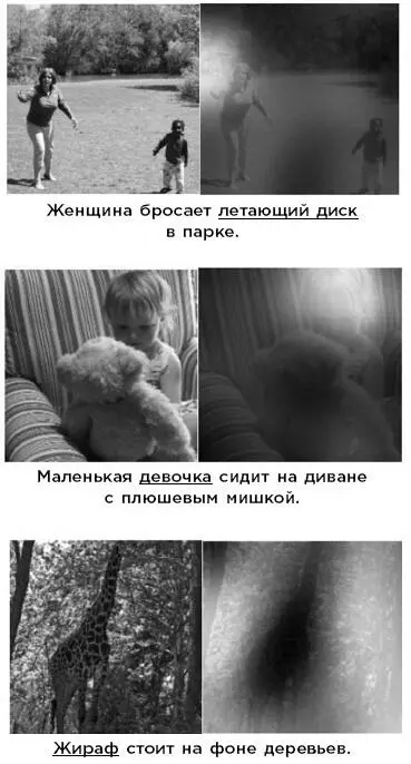 Первый столп научения это внимание механизм столь фундаментальный что в - фото 12