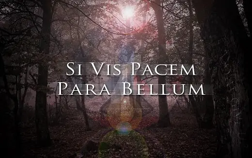 Si vis pacem para bellum Хочешь мира готовься к войне Нет мира без войны - фото 51