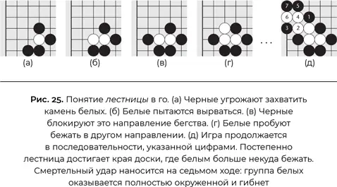 Строго говоря процесс как таковой не добавляет новое знание Например белые - фото 27