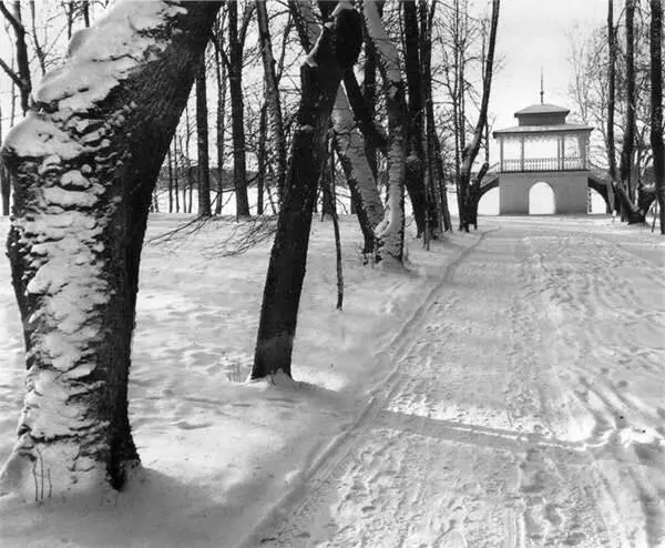 Беседка в Петровском Зима Фото И Ю Парчевской Озеро Кучане Вид на - фото 14