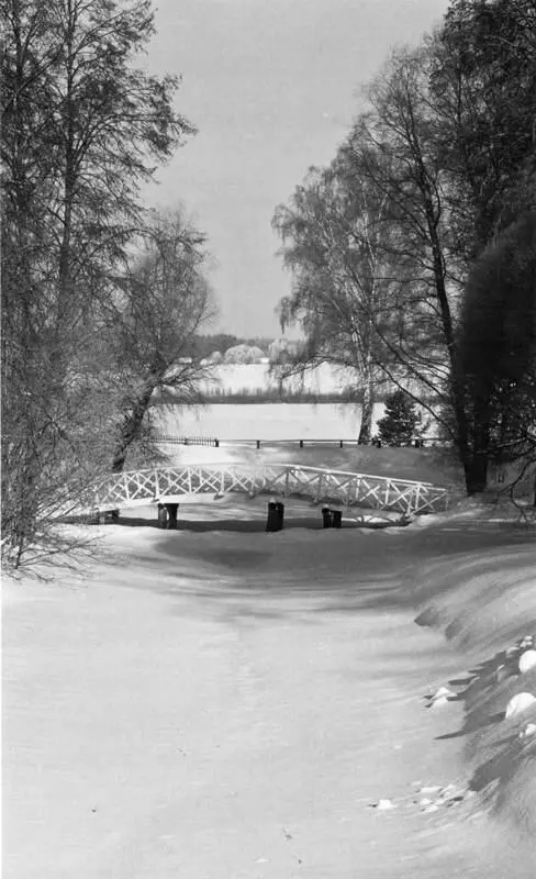 Зима в Михайловском Фото Н А Алексеева Здание ледника в Михайловском Фото - фото 57