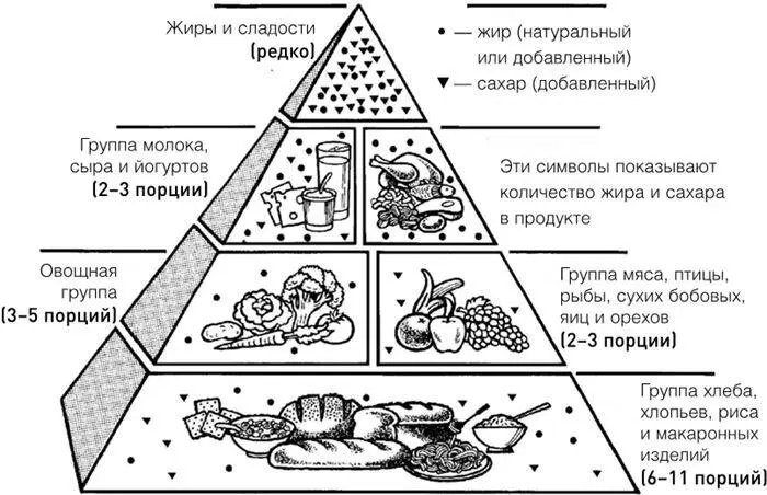 Рис 24 Изначальная пирамида рекомендаций по здоровому питанию Министерства - фото 41