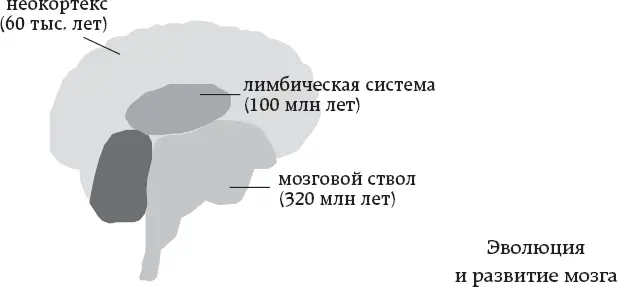 Любопытно что многие из выполняемых йогинами практик направленно - фото 6