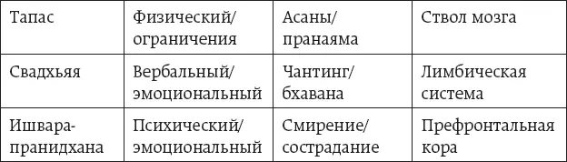Упражнения для нервной системы Стивен Порджес показал как важен тонус - фото 9