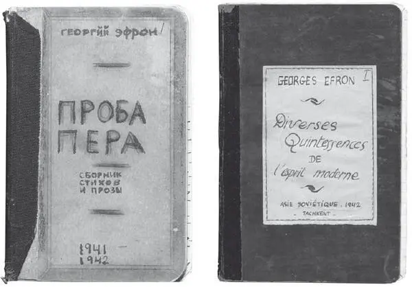 Рукописные сборники Проба пера и антология цитат Квинтэссенции Эту - фото 87