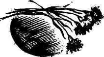 ФРАНКФУРТСКИЕ СОСИСКИ Черная релиновая змея выползает из норы и петляя - фото 3