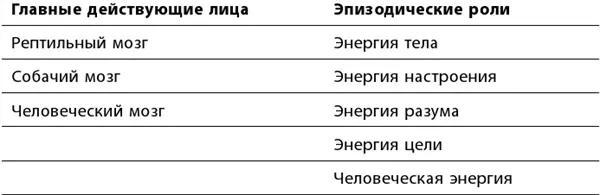 Как наши энергии поддерживают наши мозги То как мы управляем различными - фото 14