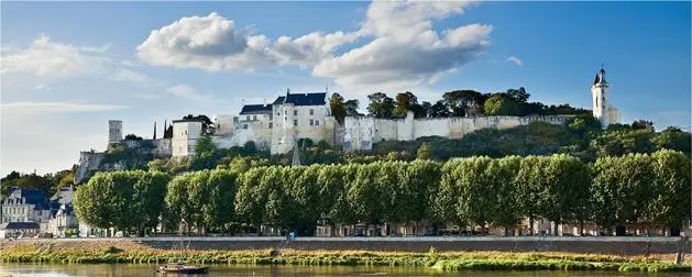 10 Замок Шинон департамент Эндр и Луара Здесь в 1429 году Карл VII - фото 201