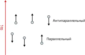2 Возможные состояния магнитного момента протона в магнитном поле В состоянии - фото 332