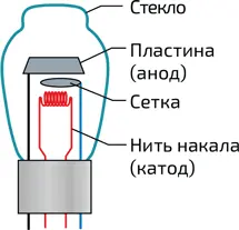 2 Триод до 1947 года насчитывал несколько сантиметров в высоту и имел короткий - фото 344