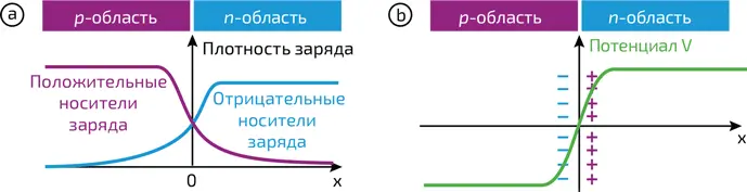 6a Изменение плотности положительных и отрицательных носителей заряда в - фото 349