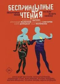 Александр Снегирев - БеспринцЫпные чтения. Некоторые вещи нужно делать самому