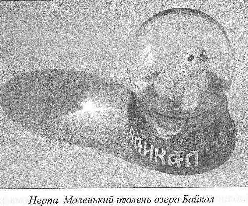 Среда 9 июня второй день в Иркутске 8 часов еще один чудесный день - фото 31
