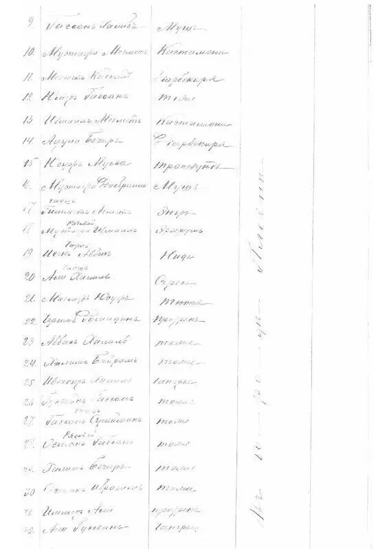 Список турок плененных в Плевне и интернированных в г Поречье Смоленской губ - фото 9
