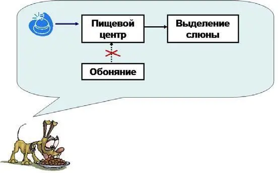 Рис 72Новая модель пищевого повеления у собаки сформированная в - фото 14