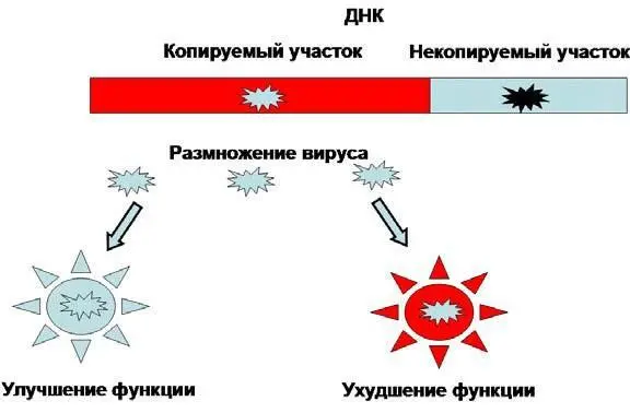 Рис 76Внедрение вируса в ДНК НБИ изменяет функцию поведение органов - фото 18