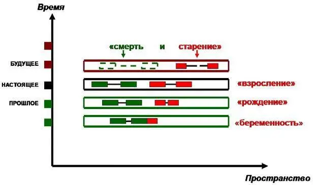 Рис 143Жизненный цикл живого двойного тире ЖДТ Будем считать что - фото 33
