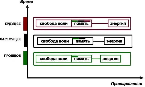 Рис 144Строение живого двойного тире ЖДТ память свобода воли и - фото 34