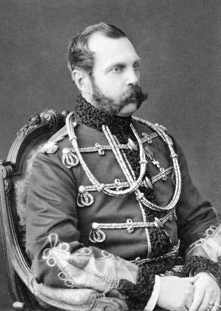 Русский император Александр II Вторая половина XIX в Сражения этой войны - фото 164