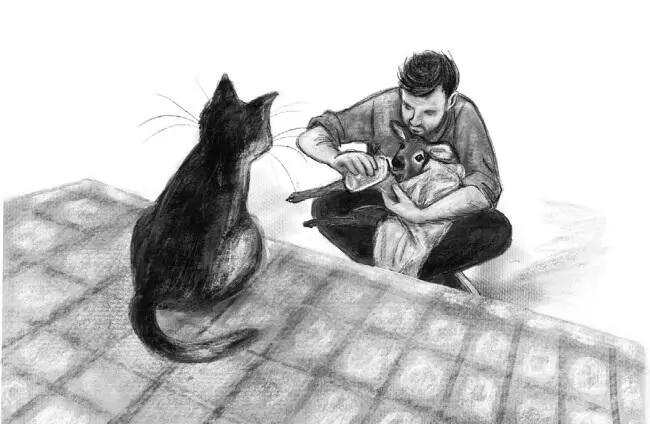 Косуля начала энергичнее ёрзать на руках дяди Криса и вид у неё был уже не - фото 43